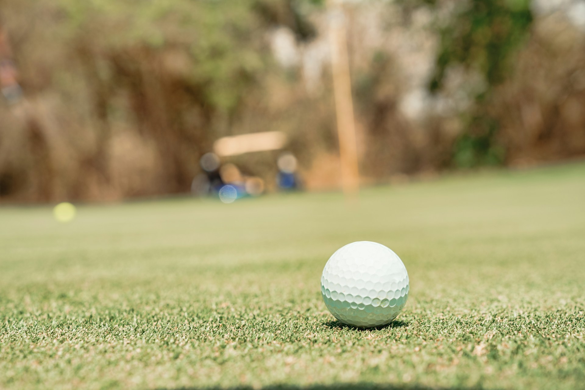 Inside Golf Tee Sheet Software Data That Drives Smarter Pricing